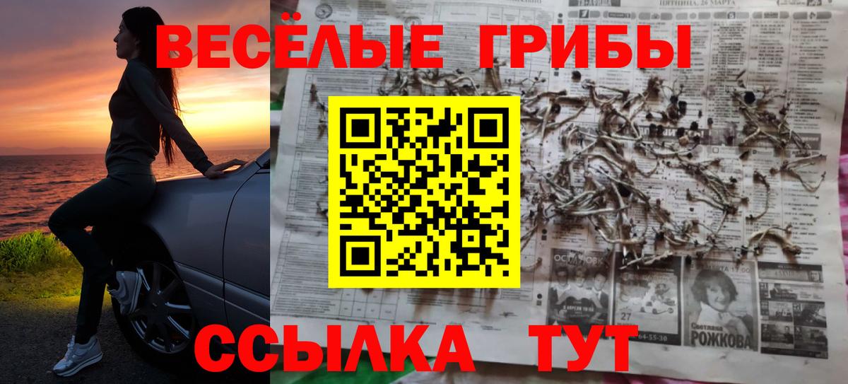Нурлат  Галлюциногенные грибы Psilocybe  Вход с VPN  Псилоцибиновые грибы мухоморы 