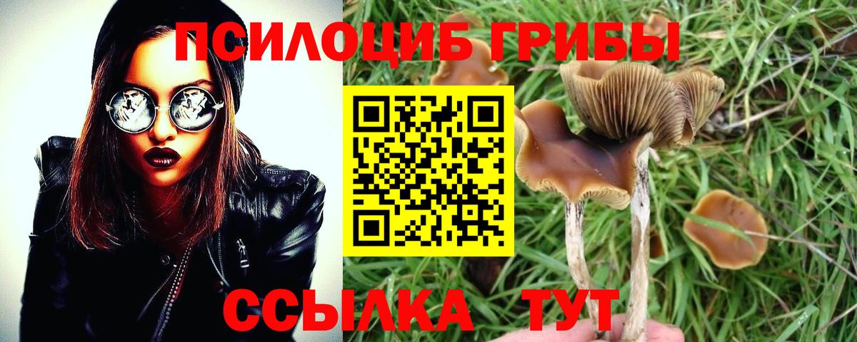 Галлюциногенные грибы Cubensis Нурлат